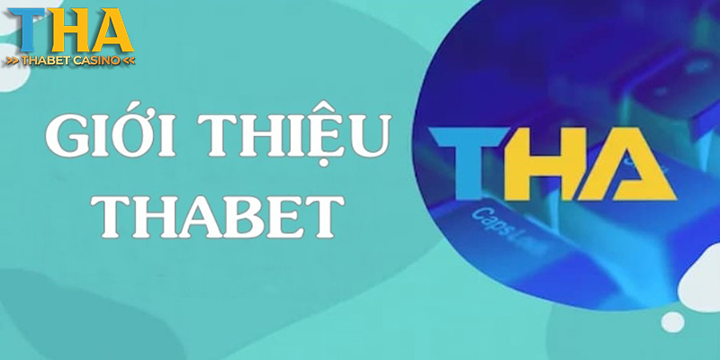 Thể Thao Thabet - Theo Dõi Các Giải Bóng Chuyền Hàng Đầu Thế Giới